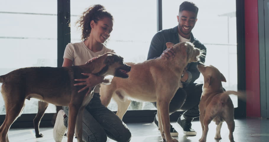 Love, animal shelter and couple hug dogs in pet kennel for foster, rehabilitation or adoption choice. Happy, rescue and people smile with stray puppy decision at pound with care, support or kindness