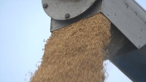 Combine harvester discharging rice into car trunk slow motion - Powered by Shutterstock - Get 15% off with code: PIKWIZARD15