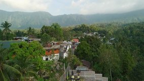 Small village among tropical trees