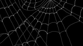 Animation of the appearance of a white web on a black screen. Video transition with spider web in 4K with alpha channel. Halloween effect for overlay. - Powered by Shutterstock - Get 15% off with code: PIKWIZARD15