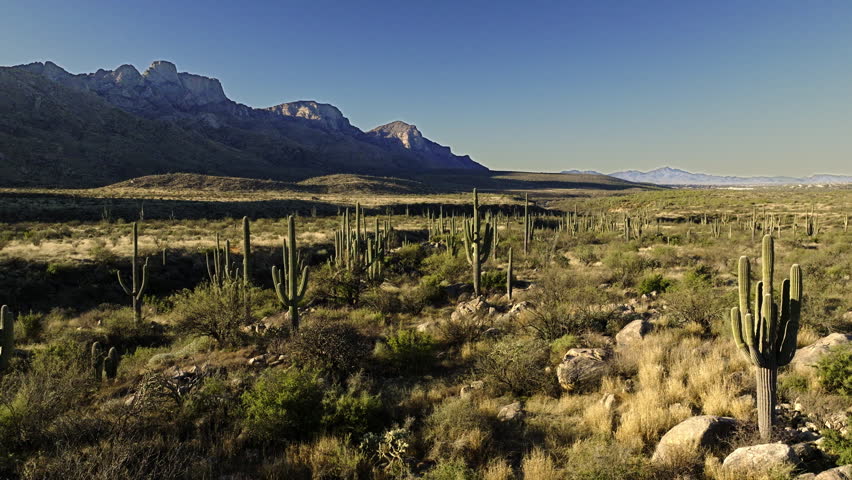 Drone footage flying towards valley in desert with cacti