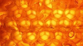 Embark on a journey within the honeycomb's secret world through macro video, where nature's artisans craft hexagonal masterpieces, glistening with liquid gold, a testament to life's sweet precision.
