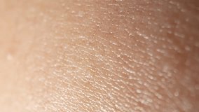 Explore the skin with macro video footage, revealing its complex network of epidermal ridges, sweat glands, and hair follicles, showcasing the body's protective barrier. 4K.
