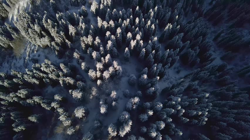 Fantastic winter landscape after snowfall in the mountains near Almaty. Snow-covered Kok-Zhailau plateau, a popular tourist route in the mountains. View from a drone of a mountain plateau, winter land Royalty-Free Stock Footage #3421602753