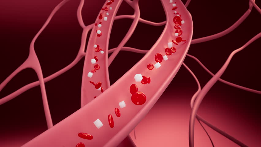 Many veins with red blood cells and sugar flowing inside. 3D animation of sugar cubes and blood cells moving through many arteries causing raised blood sugar.