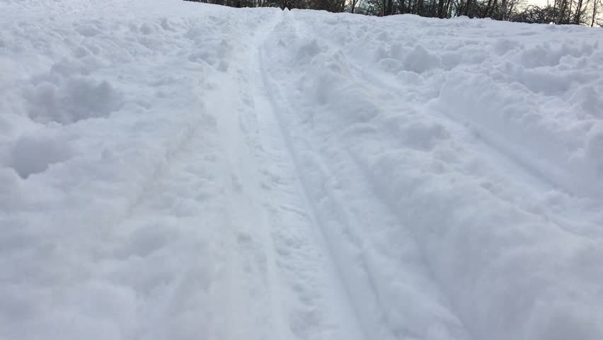 ski track in park day 