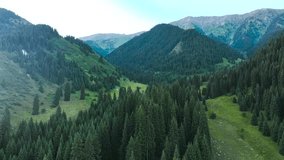 Green meadows in the mountains of Kok-Zhailau

4K aerial video in the area of the Kok-Zhailau plateau in Kazakhstan. Mountains, forests, green pasture and blue sky.
