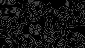 Beautiful Line Art Topographic Map Seamless Loop. Abstract Background Animation  - Powered by Shutterstock - Get 15% off with code: PIKWIZARD15