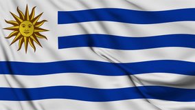 Uruguay flag waving in Wind seamless loop animation. 4K Video