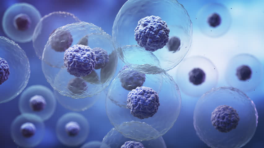 Human cell or Embryonic stem cell microscope background.