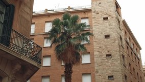 Motion video of beautiful old buildings on Barcelona street