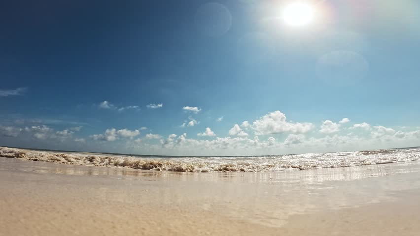 Shutterstock Video
