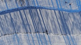 Frozen river with tree shadows, Aerial topdown - Powered by Shutterstock - Get 15% off with code: PIKWIZARD15