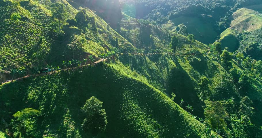 Rural road on the steep edge of a high hill and coffee plants near it.