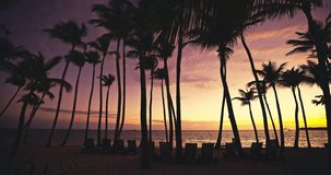Sunset panoramic view of tropical island shore with palm trees and sea beach, sunrise seascape 4k video