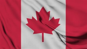 Animation Slow motion loop of an Canada flag waving in the wind, High quality looped video footage 4k