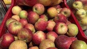 4k video of group of apples in a local market. Food and fruit concept.