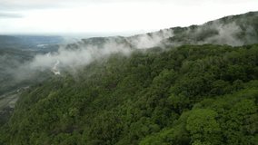 4k Aerial view of Dense natural forest trees on the mountain hills with morning mist. Misty and Foggy Jungle. Concept for International Day of Forest, World Environment Day, Asian Rainforest.