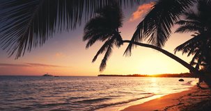 Exotic beach with palm trees of tropical caribbean island at sunset