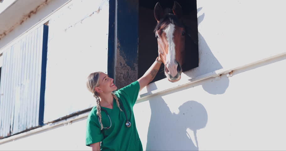 Nurse, woman and horse with care at farm with touch, smile and happy for helping with love. Doctor, veterinary person and equine animal with stroke, kindness or wellness at countryside ranch in Texas