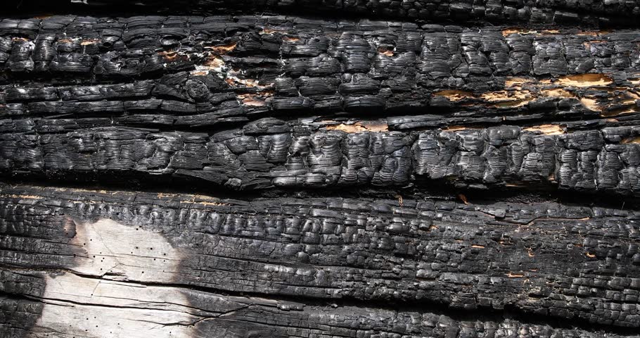 A wooden wall made of burnt logs after a fire. Royalty-Free Stock Footage #3422997771