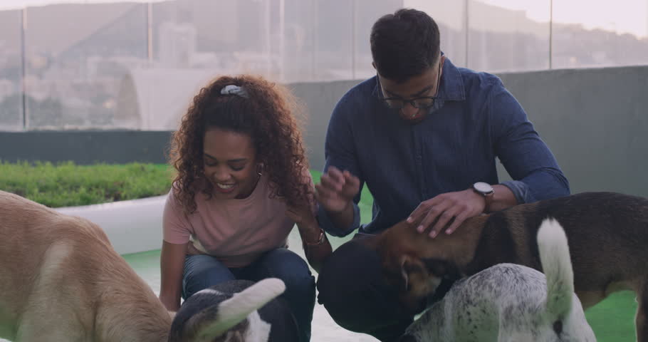 Love, dogs and young couple at animal shelter for adoption or volunteering together for fun. Smile, date and happy man and woman playing and bonding with pet puppies at rescue kennel center.