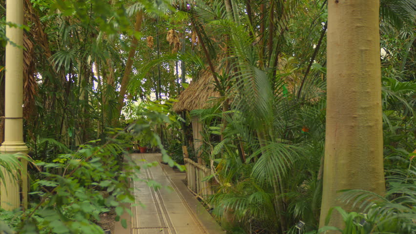 Tropical house interior, National Botanic Gardens of Ireland in Dublin, Ireland.
