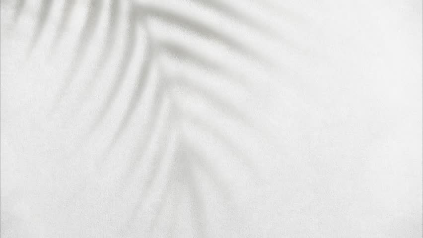 Palm tree shadow behind wall textures, video background for Product or logo video showcase