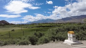 View on the way from Leh Ladakh to Shey Monastery, good road condition. Plain green field landscape with some cattle, surrounded by mountains, Himalaya Range.