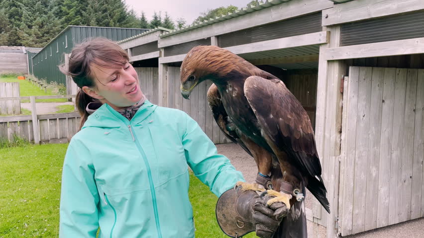 PORTRAIT: Female tourist encountering majestic golden eagle at falconry center. Amazing and memorable educational experience with a wild bird of prey for a young woman travelling around Scotland.