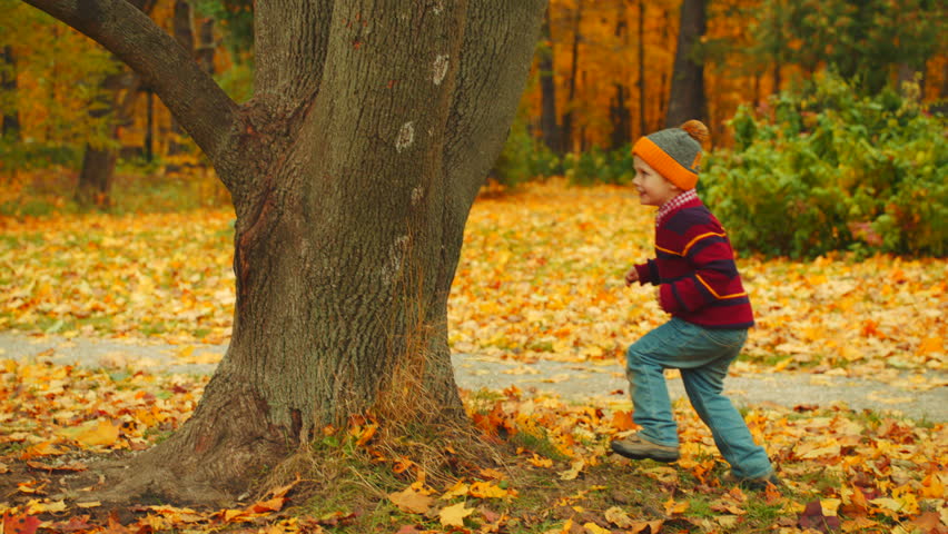 Little boys are playing hide-and-seek in the autumn park Royalty-Free Stock Footage #34234273