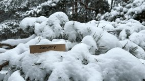 January wooden sign on Snow covered pine tree in a cold beautiful Winter forest. Snowfall weather background with space for text. The month announcement. Snowflakes gently falling in slow motion - Powered by Shutterstock - Get 15% off with code: PIKWIZARD15