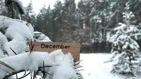 December wooden sign on Snow covered pine tree in a cold beautiful Winter forest. Snowfall weather background with space for text. The month announcement. Snowflakes gently falling in slow motion - Powered by Shutterstock - Get 15% off with code: PIKWIZARD15