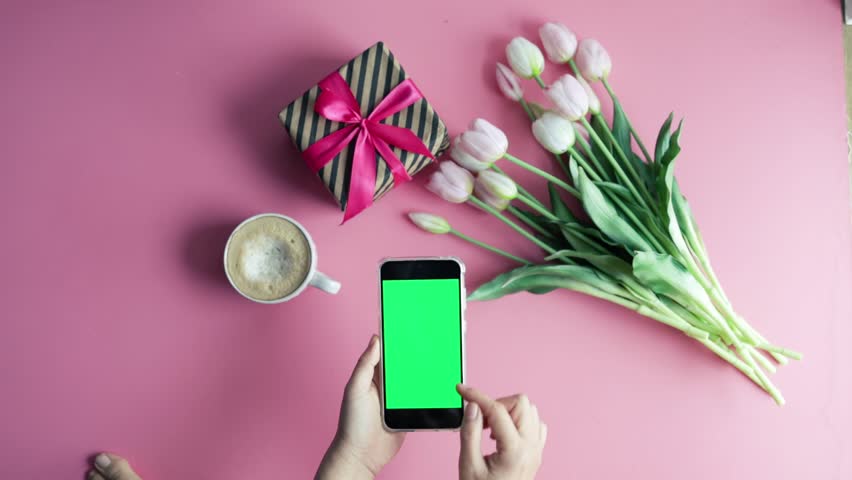 Top view shot of woman hands holding mobile phone with a green chromakey screen over a pink background with a cup of coffee and flowers