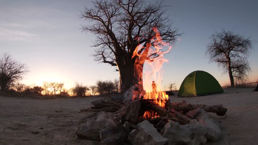 Flames dancing with an energetic rhythm in a crackling bonfire at Nxai Pan national park. A magical way to enhance the camping experience with a stunning baobab tree as backdrop.