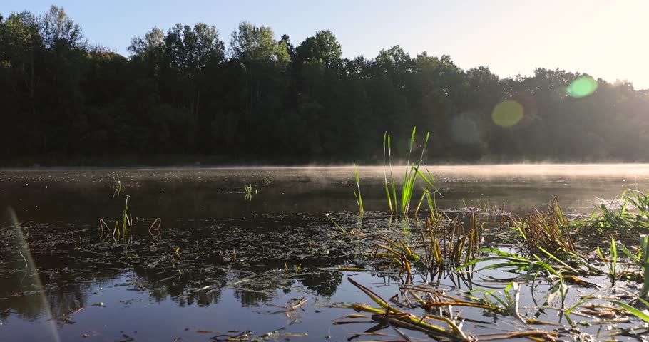 a wide river at dawn in the autumn season, light fog on the Neman River in the autumn morning