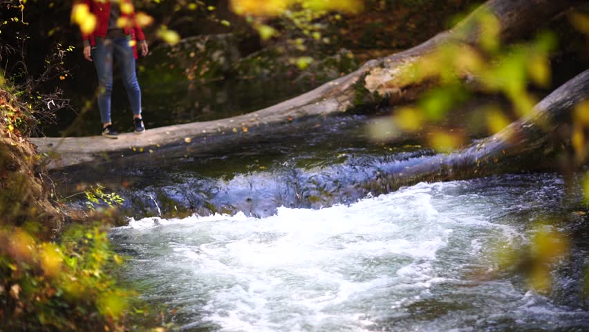 Autumn forest river flows, yellow leaves on the trees in the bokeh. Autumn season, golden autumn in forest.