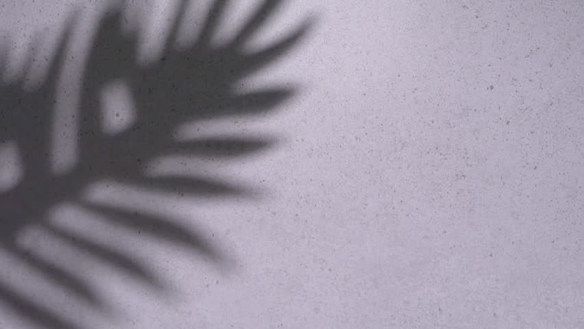Shadow of a palm tree on a grey concrete background
