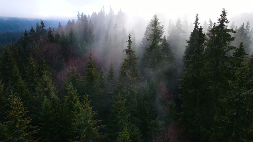 flying drone over the cloudy fog haze of the Black Forest in southern Germany. Black forest View from Mount Blauen to Belchen.