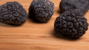Tuber of black truffle rolls on the wooden table Slow motion