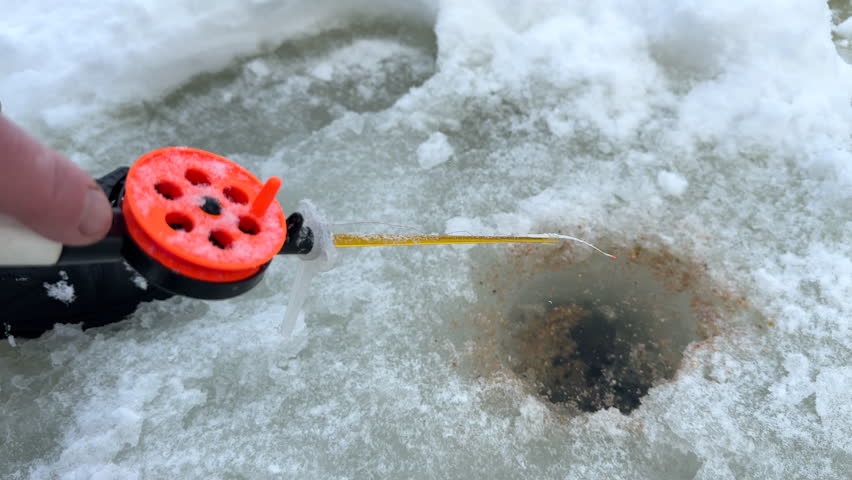 Pescado congelado en hielo en el mostrador en el supermercado