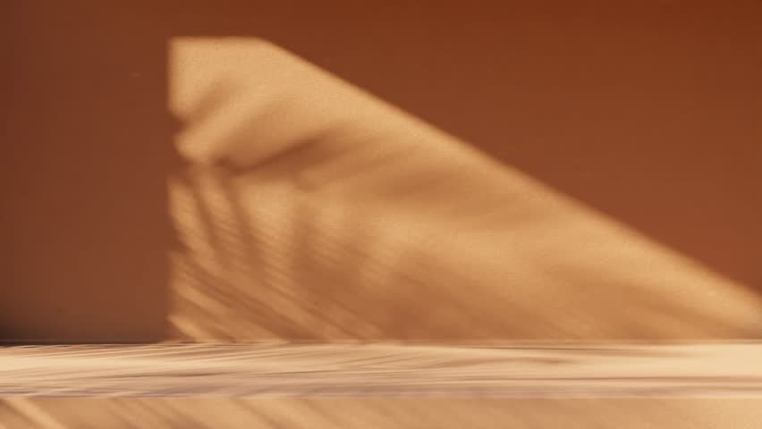 Concrete interior space with palm shadow moving. Tropical scene with plant silhouette shade on plaster background.