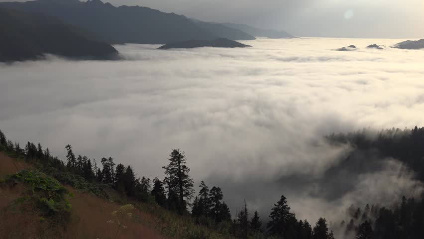 Panoramic view of the magnificent landscape above the sea of clouds covering the forest and valley in the Alps.