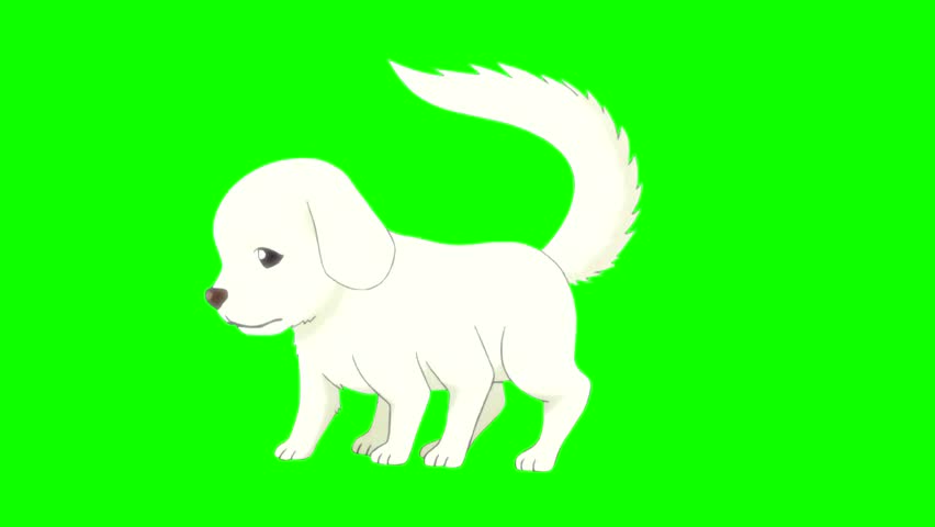funny yorkshire terrier talking on a green background