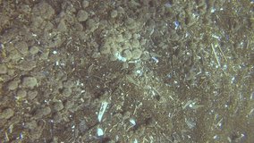 Vertical video, Pieces of small plastic and other debris thickly cover the sandy seabed, top view