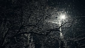 Real snowfall, winter snow at night. Cold weather, blizzard, trees. Lone light lamp illuminating street. Falling snowflakes, seamless Christmas time wonderland background. - Powered by Shutterstock - Get 15% off with code: PIKWIZARD15