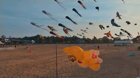 The video shows a beach festival of colorful kites. There are many different types of kites, including some in the shape of animals and some in the shape of cartoon characters. The kites are flying in