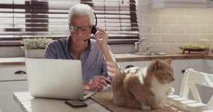 Laptop, home and old man on video call, business discussion or virtual consultation in apartment kitchen. Online meeting, pet cat or person networking on headset, webinar or conference communication