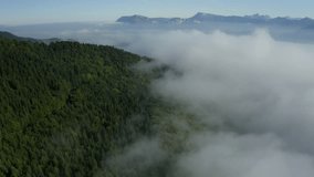 Aerial Forward Tranquil View Of Clouds Over Coniferous Trees In Jungle On Mountains - Savoie, France - Powered by Shutterstock - Get 15% off with code: PIKWIZARD15