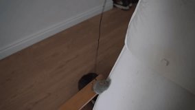 Grey tabby cat playing at home with toy mouse on rope. Pet activities  - Powered by Shutterstock - Get 15% off with code: PIKWIZARD15